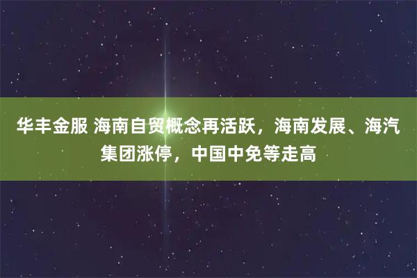 华丰金服 海南自贸概念再活跃，海南发展、海汽集团涨停，中国中免等走高