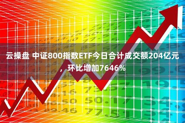 云操盘 中证800指数ETF今日合计成交额204亿元,环比增加7646%