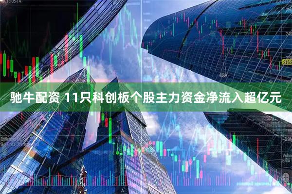 驰牛配资 11只科创板个股主力资金净流入超亿元