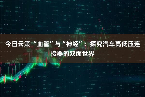 今日云策 “血管”与“神经”：探究汽车高低压连接器的双面世界